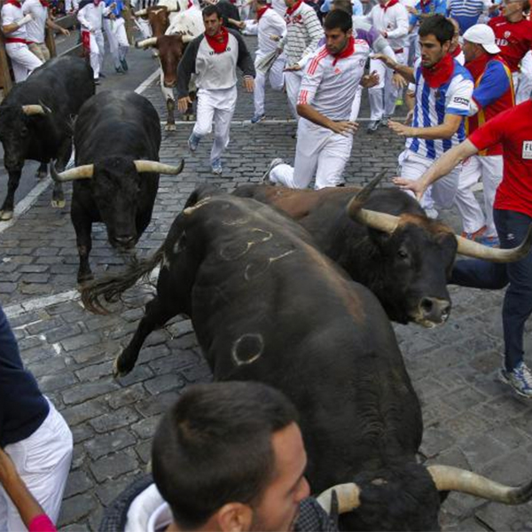 селфи,законодательство,бег быков, Организаторы фиесты оштрафовали тех, кто делал селфи во время бега быков